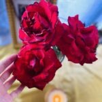 歡迎靈魂的光來到地球