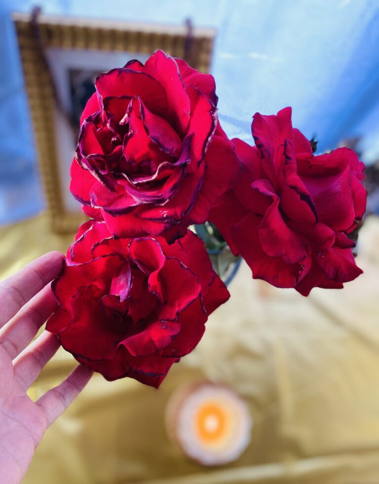 歡迎靈魂的光來到地球