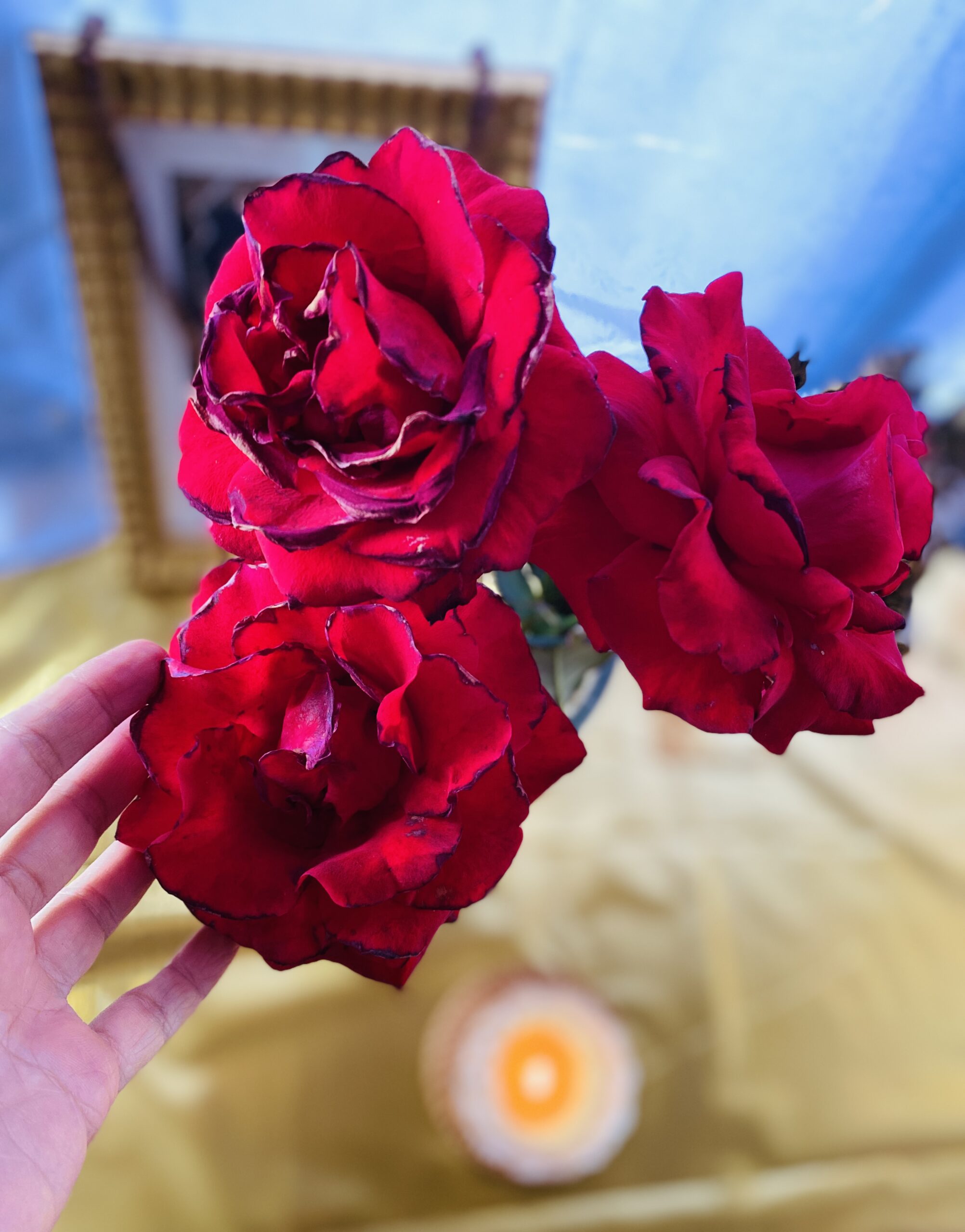 歡迎靈魂的光來到地球